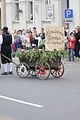altenburg-trachtenfest-03-06-2012 (301)